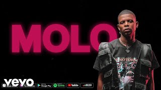 Aubrey Qwana  Molo Official Lyric Video [upl. by Anelaf]