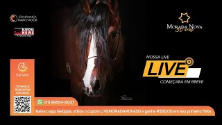 II Live Morada Nova 30 Anos [upl. by Akcira747]