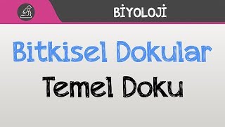 Bitkisel Doku  Temel Doku [upl. by Cato]