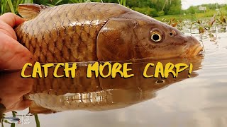 Fly Fishing Tips For Catching More Carp [upl. by Castor]