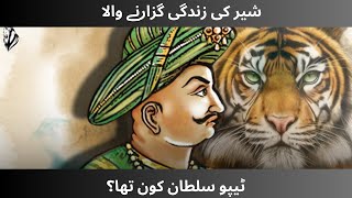 HISTORY OF TIPU SULTAN [upl. by Kask862]