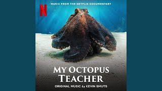 My Octopus Teacher End Credits [upl. by Marvin396]