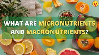 What Are Micronutrients And Macronutrients   VisitJoy [upl. by Sinnal]