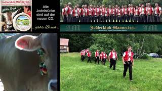 Jodlerklub Männertreu Nesslau – Toggenburg  De Wildhuser – Heiweh – Ueli Jodel – sSennische Glüt [upl. by Hallette374]