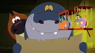 Zig amp Sharko  Oggy et les cafards 🧭 La carte 🧭 Episodes complets en HD [upl. by Mehsah]