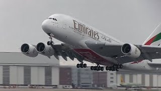 Airbus A380 Emirates Airlines  Take Off and Landing [upl. by Atiuqram]