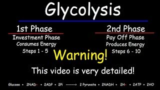 Glycolysis  Biochemistry [upl. by Enitselec62]