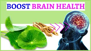 5 Herbs That Boosting Brain Power and Memory [upl. by Llekcor914]