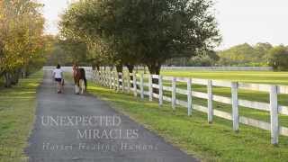 Unexpected Miracles  Horses Healing Humans [upl. by Dhiren]