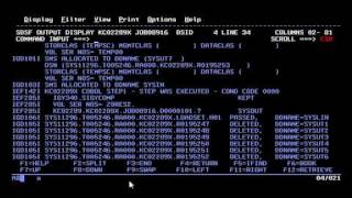 COBOL RealWorld Applications [upl. by Eemla]