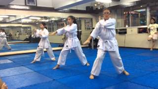 Karate Yellow Belt Exam [upl. by Collar]