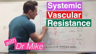 Systemic Vascular Resistance Total Peripheral Resistance  Cardiology [upl. by Sirapal]