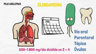 CLINDAMICINA  PARA QUÉ SIRVE [upl. by Cypro]