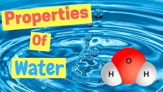 Properties of Water  Polarity  Hydrogen Bonds  Adhesion amp Cohesion [upl. by Leirol]