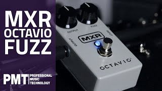 MXR M267 Octavio Fuzz Pedal Demo  New 2020 Fuzz [upl. by Alverson45]