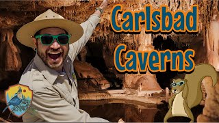 Visiting Carlsbad Caverns National Park  Educational Videos For Kids [upl. by Kaz970]