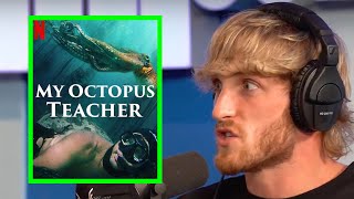 My Octopus Teacher  A captivating SA documentary [upl. by Heinrike]