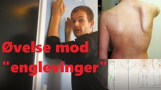 Øvelser mod quotenglevingerquot [upl. by Minton]