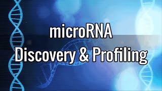 microRNA Discovery amp Profiling [upl. by Ahseen526]