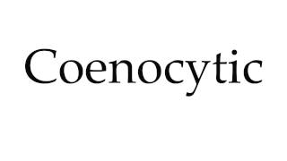 How to Pronounce Coenocytic [upl. by Lilyan736]