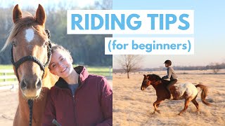 Horseback Riding Tips for Beginners [upl. by Eeladnerb]