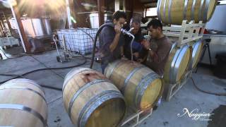 Wine Making with Tim Vandergrift from Master Vintner [upl. by Anined]