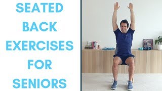 Excellent Low Back TractionSaunders Lumbar TractionDo It Yourself [upl. by Yornek]