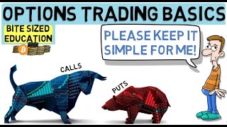 Options Trading For Beginners  The Basics [upl. by Ezzo]