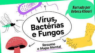 VÍRUS BACTÉRIAS E FUNGOS  BIOLOGIA  Mapa Mental  Quer Que Desenhe [upl. by Ernestus]