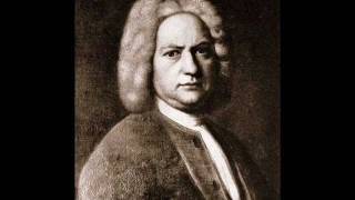 Johann Sebastian Bach  Brandenburg Concerto No 3 AllegroAdagio [upl. by Cinelli]