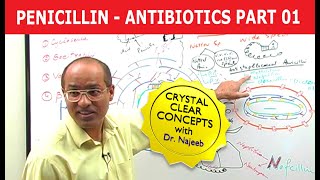 Penicillin  Antibiotics  Dr Najeeb  Part 14 [upl. by Odlonyer]