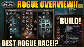 Classic WOW  Rogue Overview  Best Rogue Race Spec amp Build WOW Classic Rogue Guide in Vanilla [upl. by Irolam]