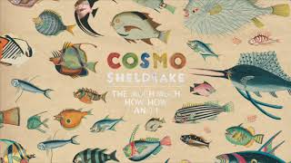 Cosmo Sheldrake  Linger A While [upl. by Atsirk]