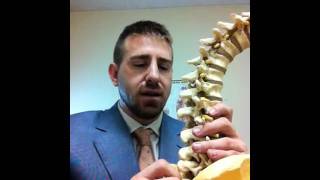 Dr Roth Lumbar Spinous Process [upl. by Pascia781]