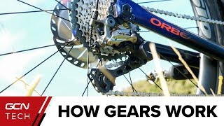 How Do Bike Gears Work  Bicycle Gears Explained [upl. by Malissa]