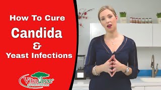 How to Cure Candida Fast  Yeast Infections  VitaLife Show Episode 170 [upl. by Hube]