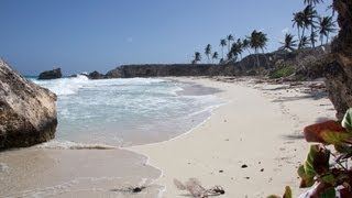 Beaches of Barbados [upl. by Ahsiemac125]