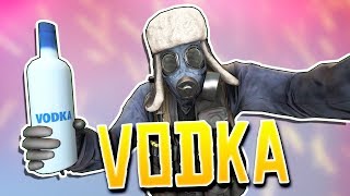 IF VODKA WAS ADDED TO CSGO [upl. by Anah]