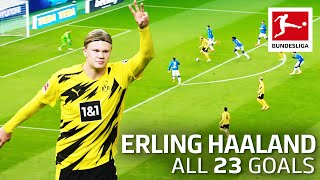 Erling Haaland – 23 Goals In Only 22 Bundesliga Games [upl. by Imekawulo]