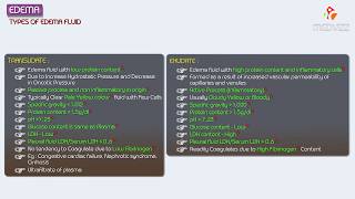 3Edema  Exudate vs Transudate  Hemodynamic pathology Fmge Neet PG and usmle [upl. by Thordia]