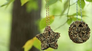 How To Make Birdseed Ornaments  Southern Living [upl. by Clapp915]