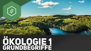 Grundbegriffe der Ökologie  Ökologie 1 [upl. by Guy]