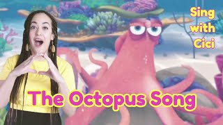 Huge Octopus Escapes Through Smallest Hole  The Dodo [upl. by Eerised289]