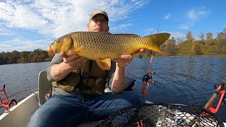 How to Catch Carp From a Boat  Fall Carp Fishing Tips and Tricks [upl. by Sinnylg]