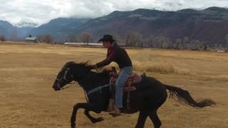 Horse Riding in Slow Motion [upl. by Bunns]