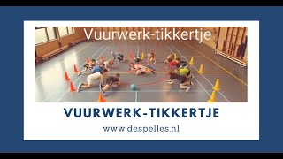 Vuurwerktikkertje in de gymles  De Spelles  wwwdespellesnl [upl. by Oinegue78]