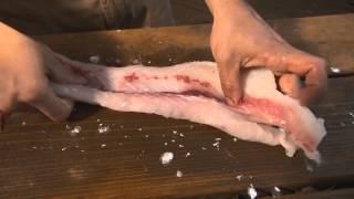 Invasive Carp  Filleting amp Cooking [upl. by Nednal]