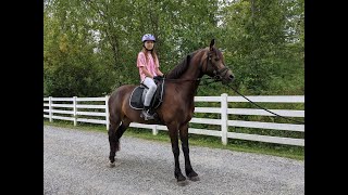 My first horseback riding lesson [upl. by Neehs]