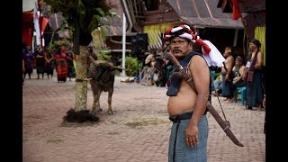 Begini Serunya Upacara Adat Tradisional Suku Batak Toba di Tomok [upl. by Annohsal652]