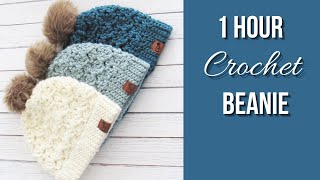 1 Hour Crochet Beanie Easy Pattern [upl. by Enrica]